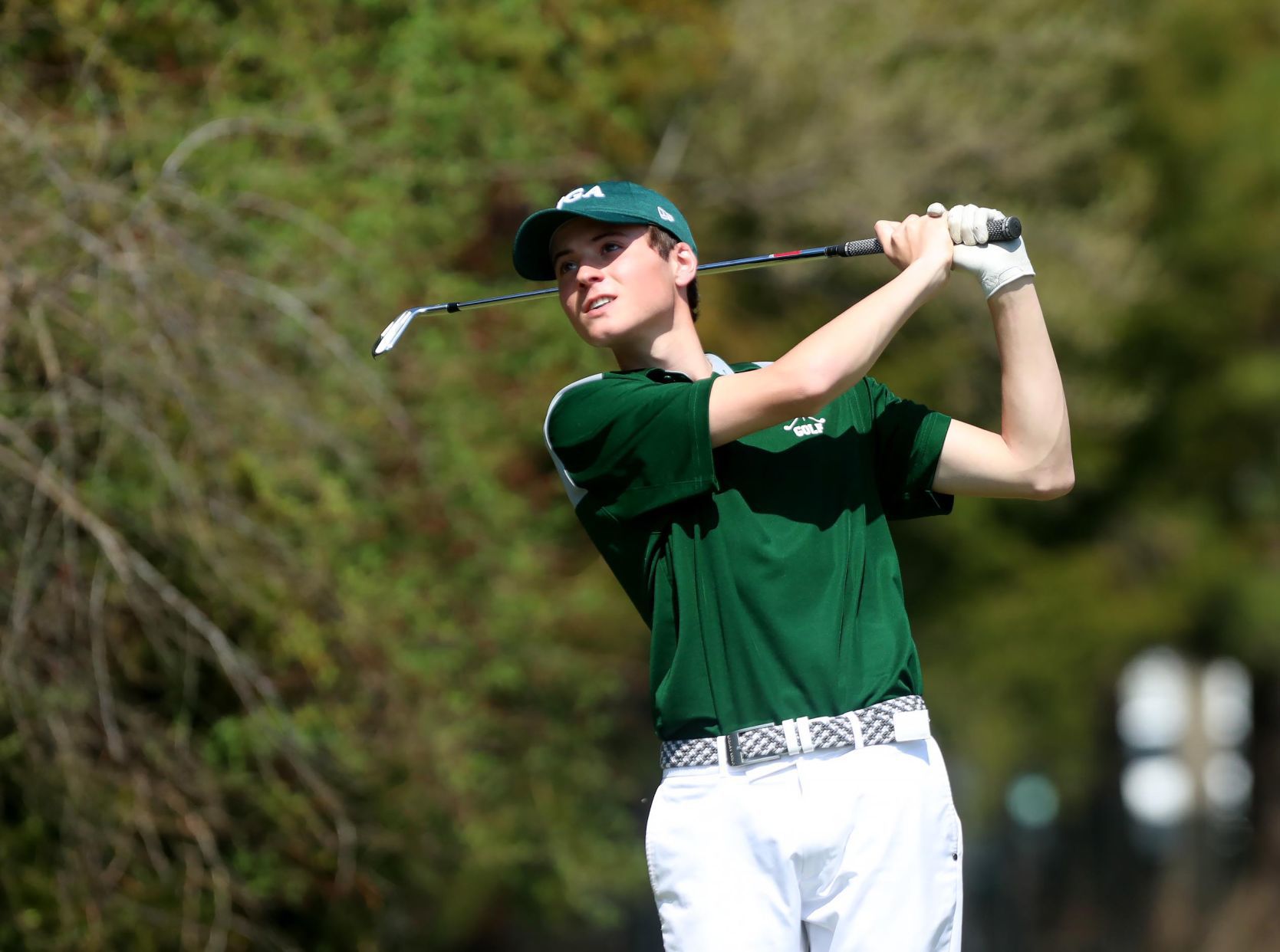 Michael Mitnick, Mainland Regional